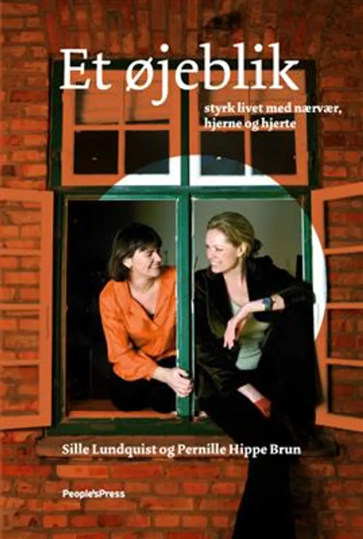 Et øjeblik af Pernille Hippe Brun