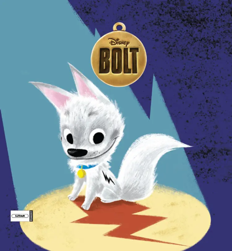 Bolt af Ann Rhiannon