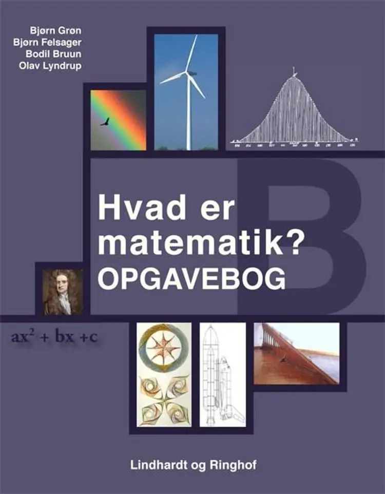 Hvad er matematik? - B af Bjørn Felsager