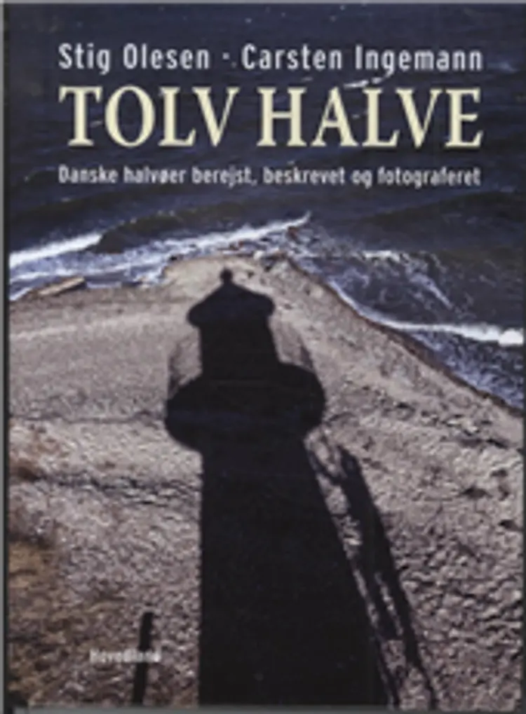 Tolv halve af Carsten Ingemann