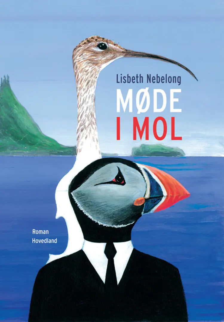 Møde i mol af Lisbeth Nebelong