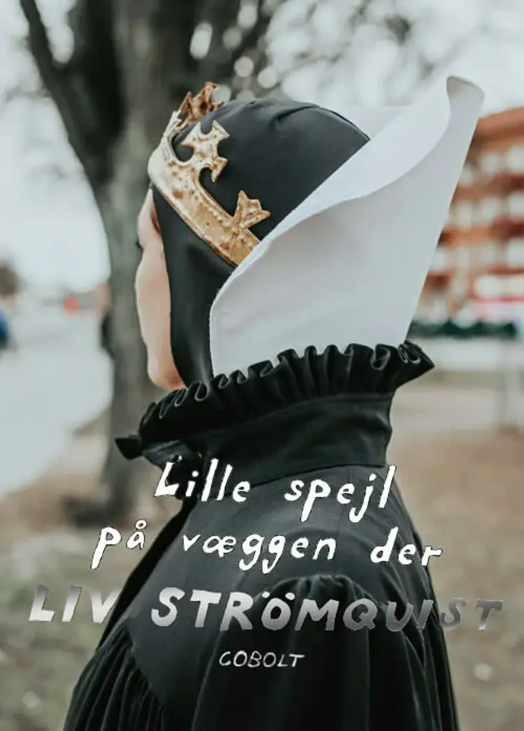 Lille spejl på væggen der af Liv Strömquist