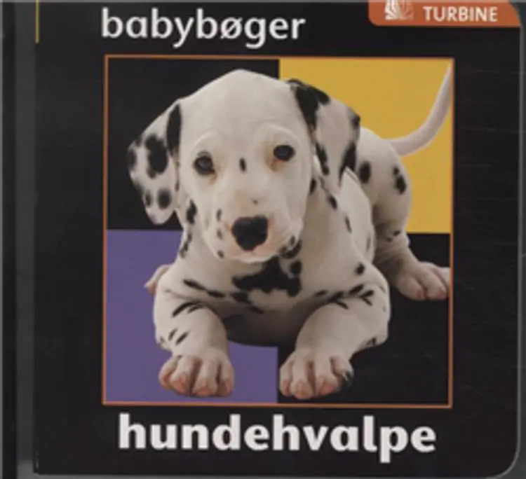 Hundehvalpe af Chez Picthall