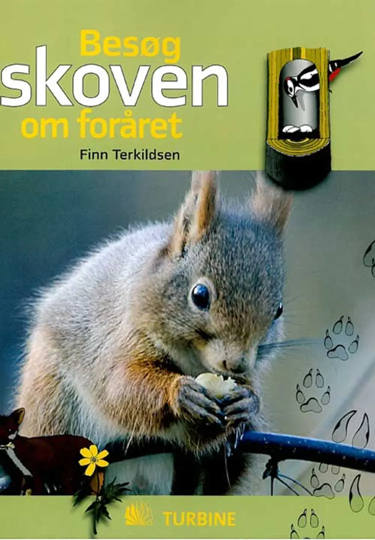 Besøg skoven om foråret af Finn Terkildsen