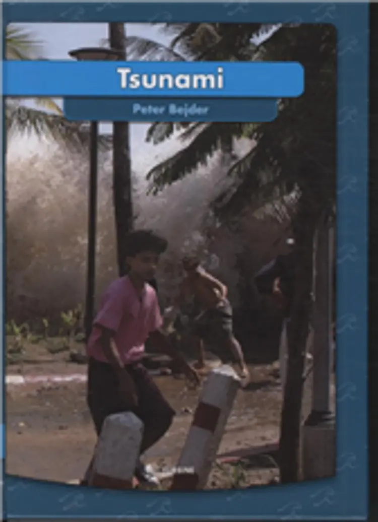 Tsunami af Peter Bejder