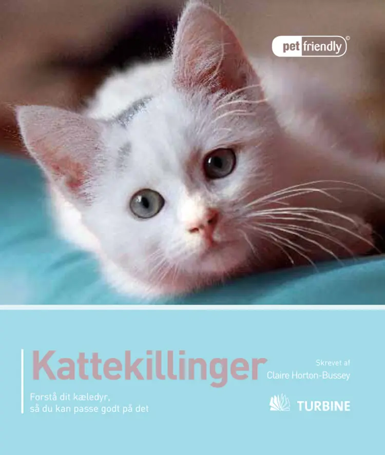 Kattekillinger af Claire Horton-Bussey