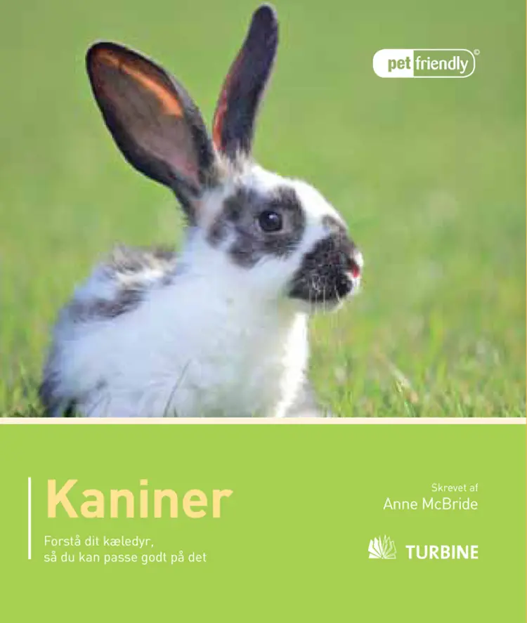 Kaniner af Anne McBride