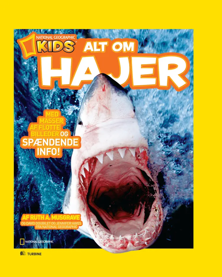 Alt om Hajer af Ruth A. Musgrave
