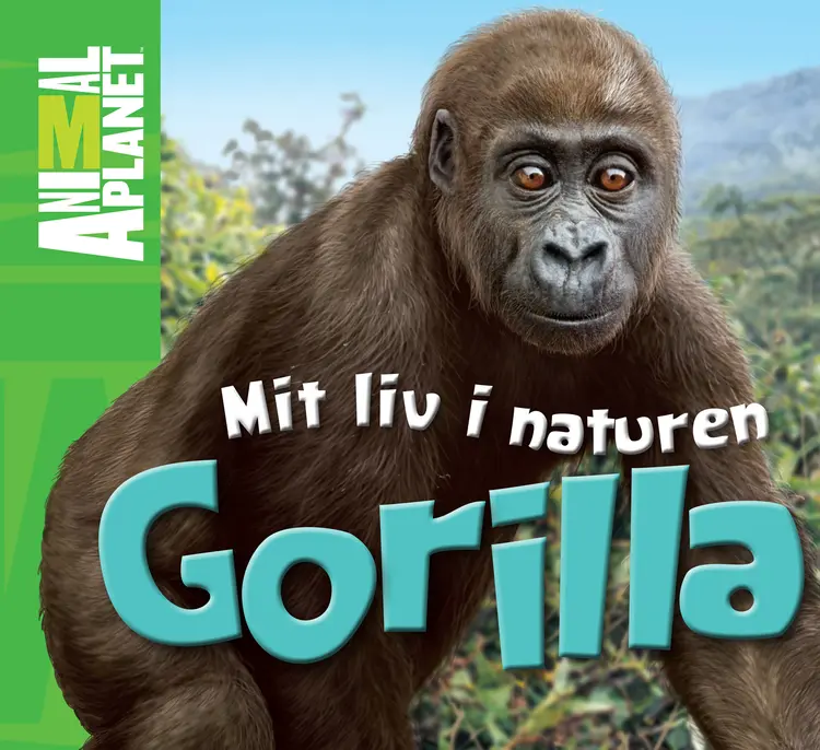 Gorilla af Meredith Costain