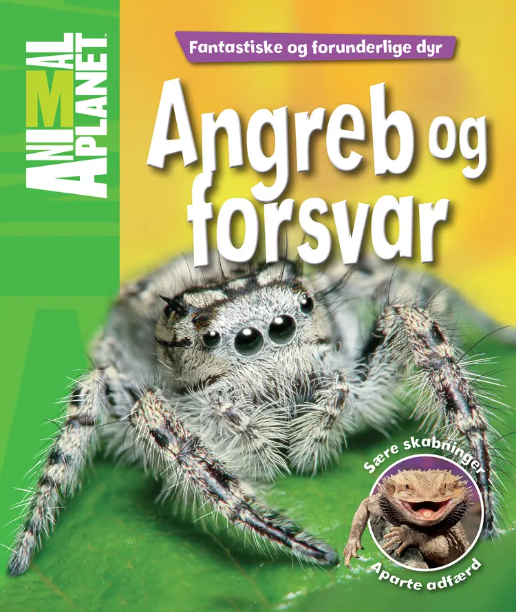 Angreb og forsvar af Kathy Riley