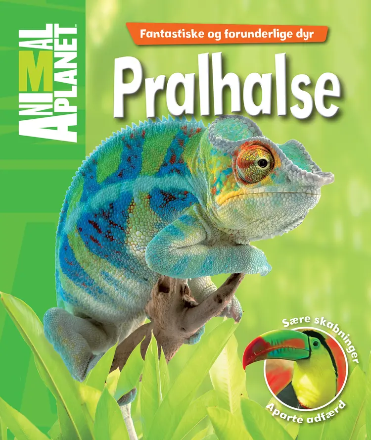 Pralhalse af Margaret McPhee
