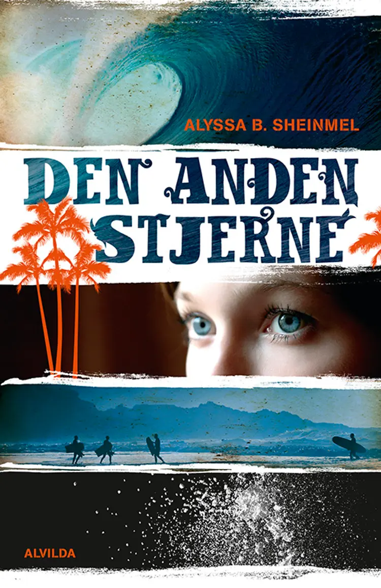 Den anden stjerne af Alyssa B. Scheinmel