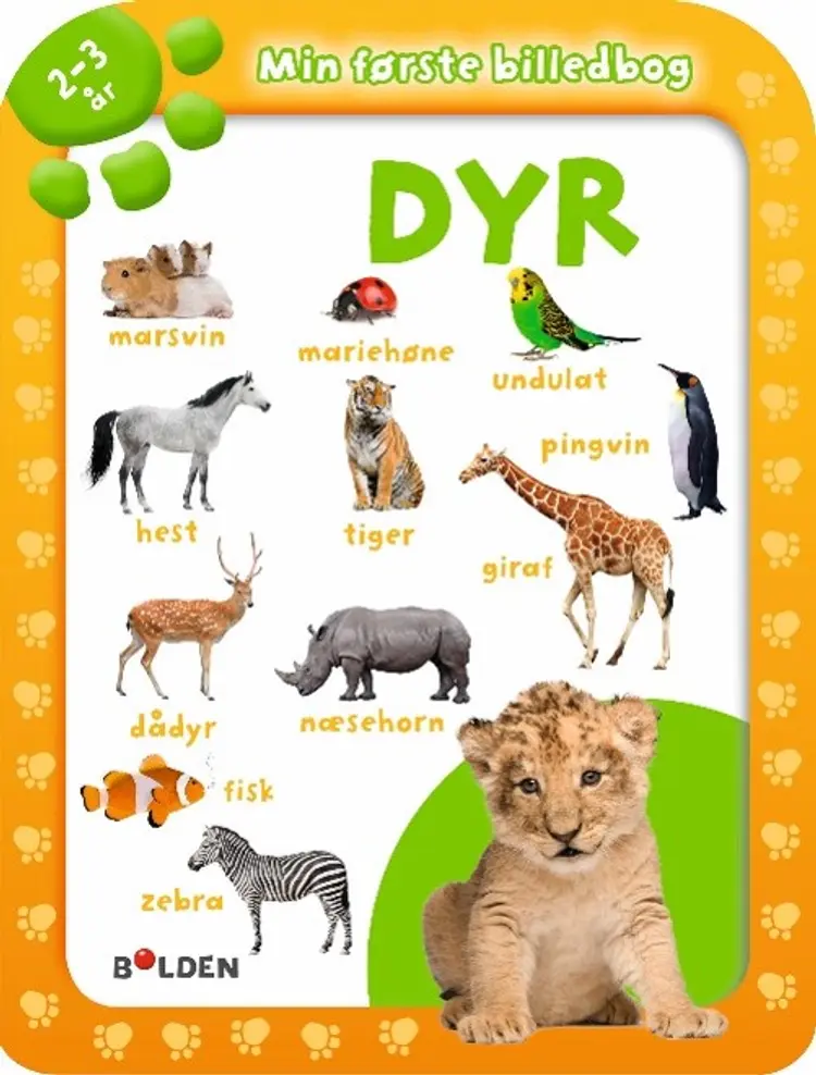 Dyr - 2-3 år