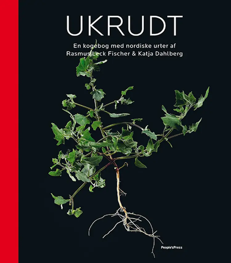 Ukrudt af Rasmus Leck Fischer