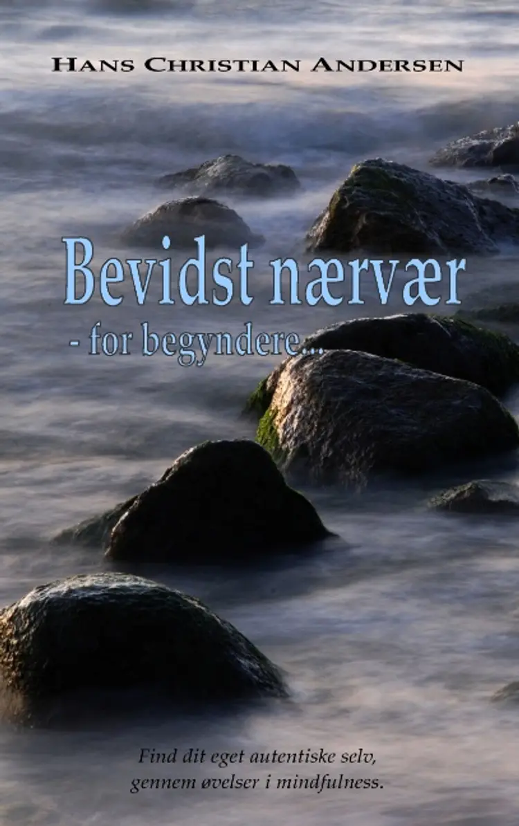 Bevidst nærvær - for begyndere af Hans Christian Andersen