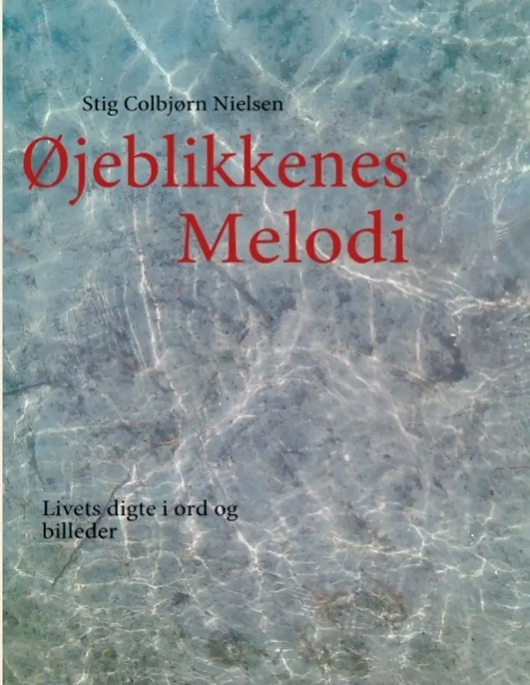 Øjeblikkenes Melodi af Stig Colbjørn Nielsen
