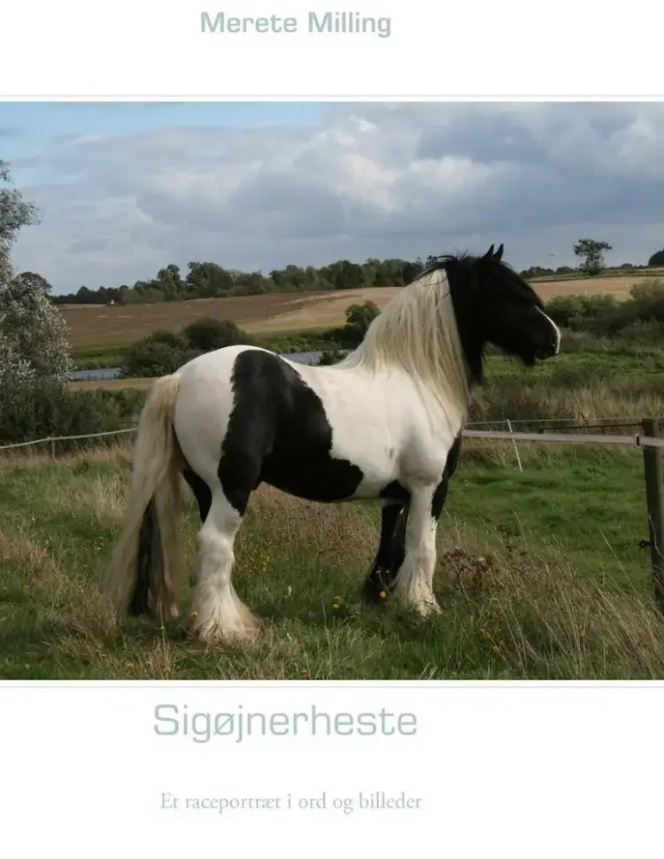 Sigøjnerheste af Merete Milling