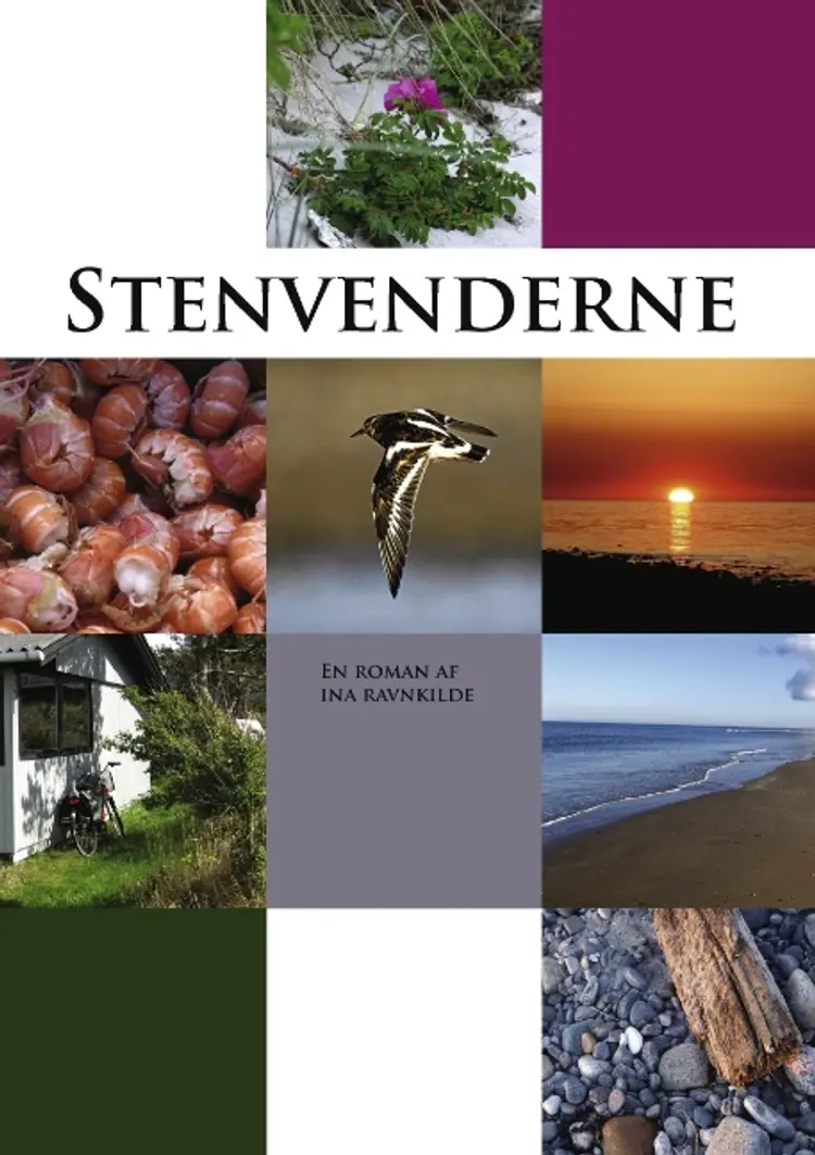 Stenvenderne af Ina Ravnkilde