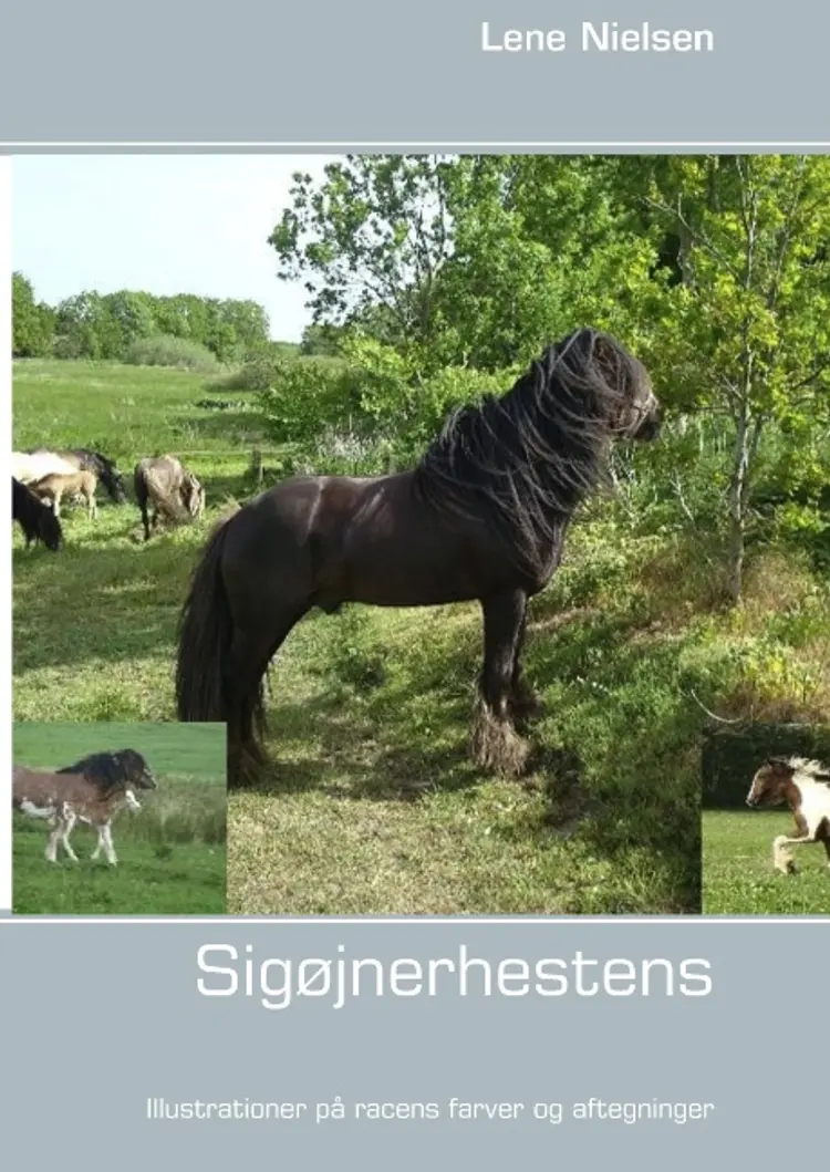 Sigøjnerhestens farver af Lene Nielsen