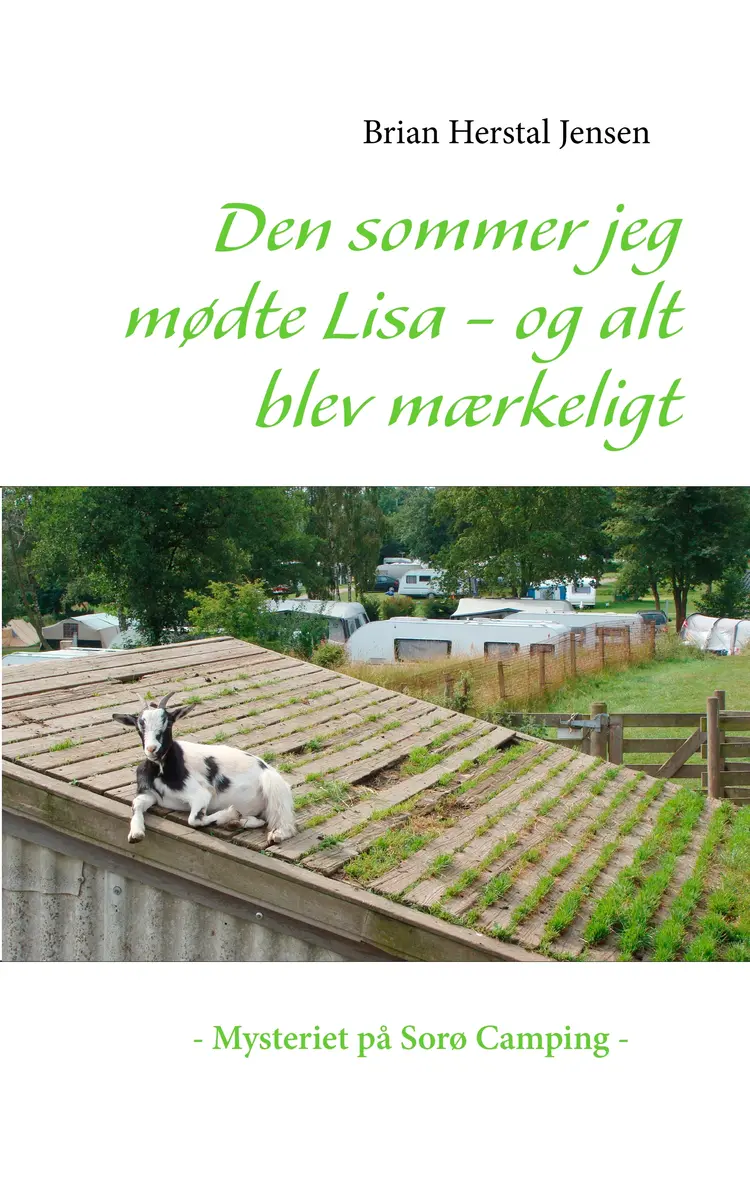 Den sommer jeg mødte Lisa - og alt blev mærkeligt af Brian Herstal Jensen