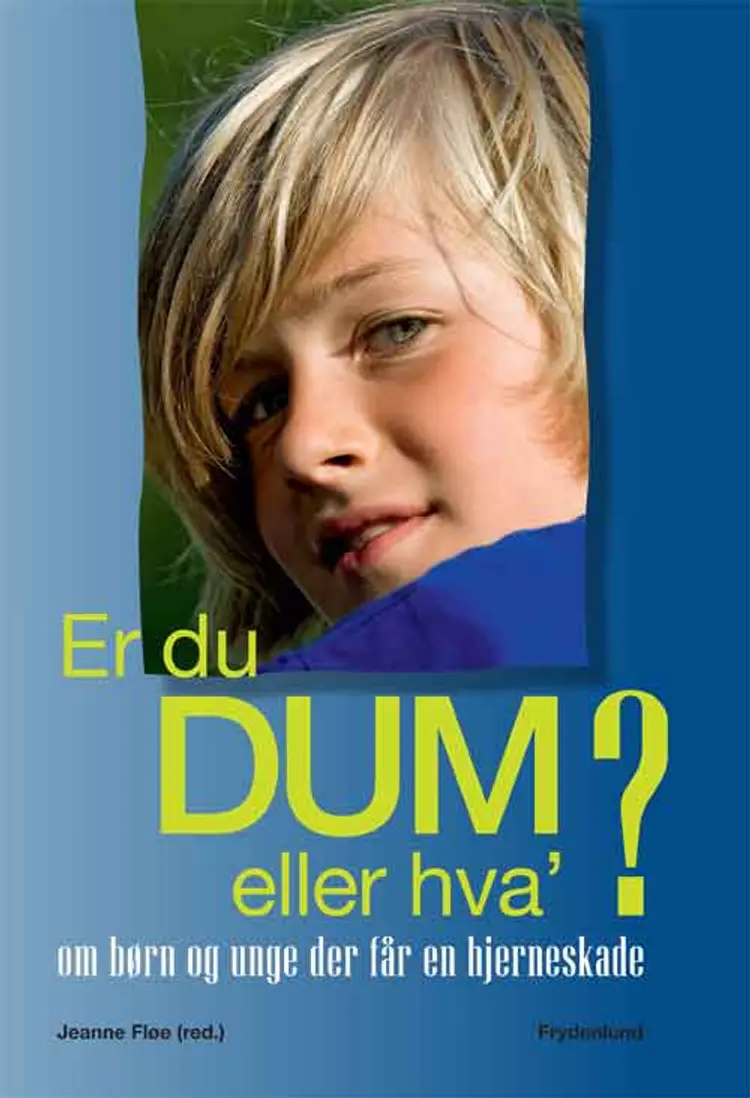 Er du dum eller hva'?