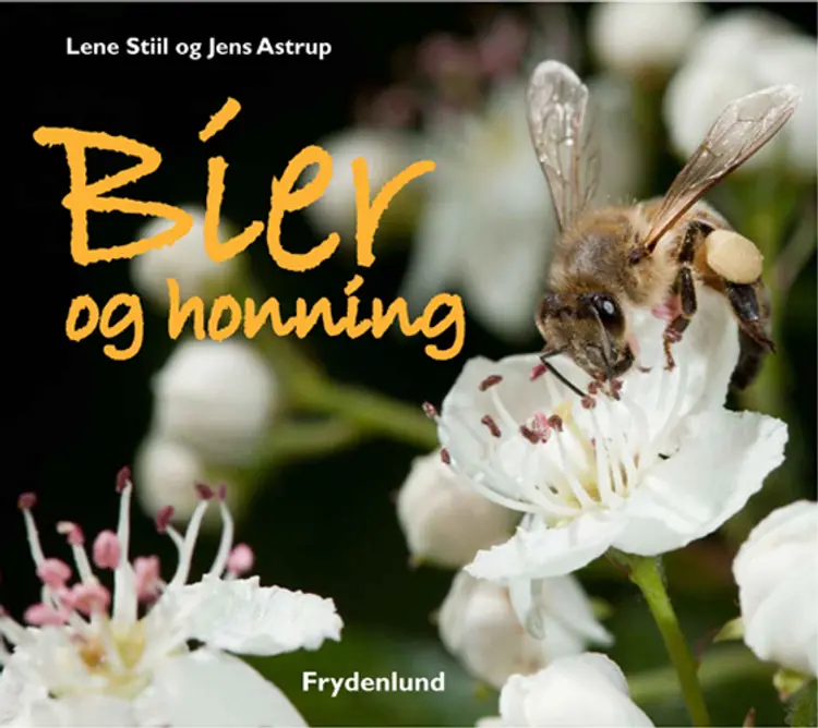 Bier og honning af Lene Stiil