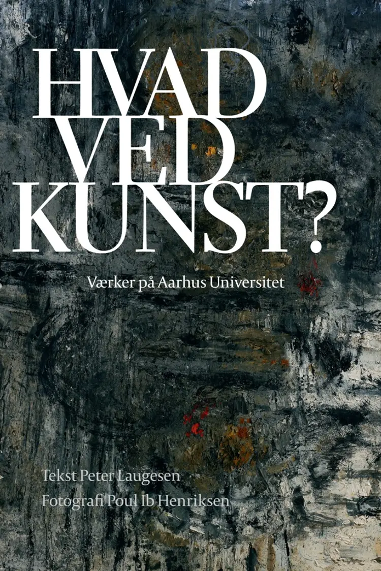 Hvad ved kunst? af Peter Laugesen
