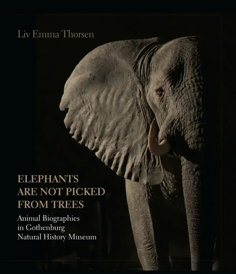 Elephants are not picked from trees af Liv Emma Thorsen