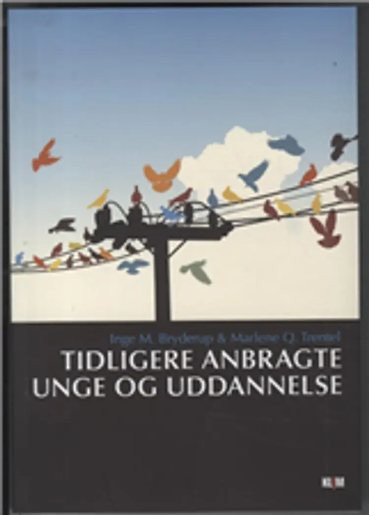 Tidligere anbragte unge og uddannelse af Inge M. Bryderup