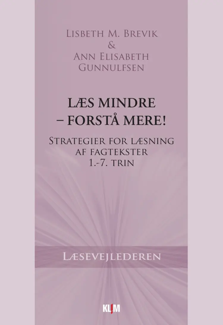 Læs mindre - forstå mere! af Ann Elisabeth Gunnulfsen