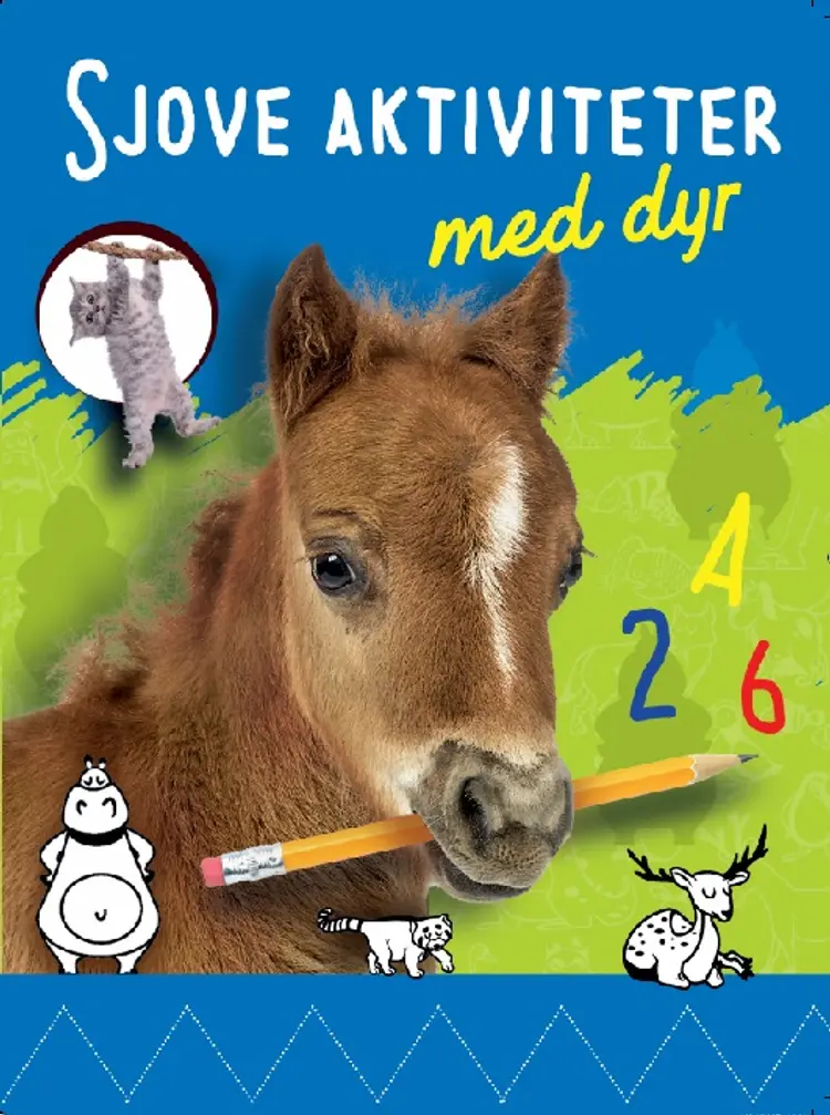 Sjove Aktiviteter med dyr - hest