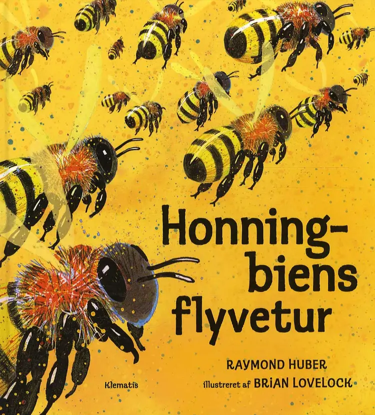 Honningbiens flyvetur af Raymond Huber