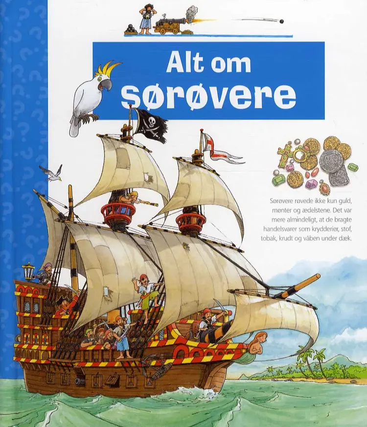 Alt om sørøvere af Andrea Erne