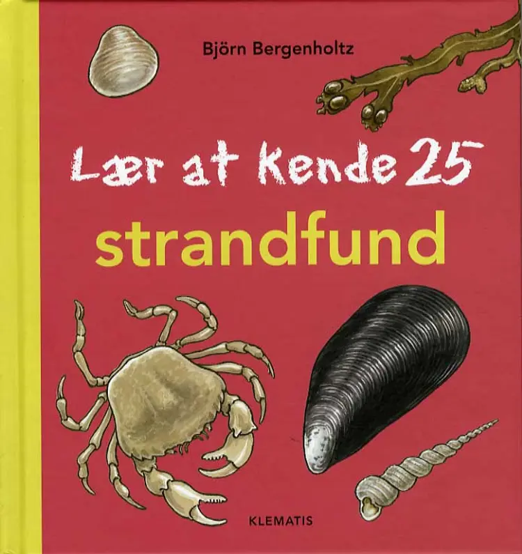 Lær at kende 25 strandfund af Björn Bergenholtz