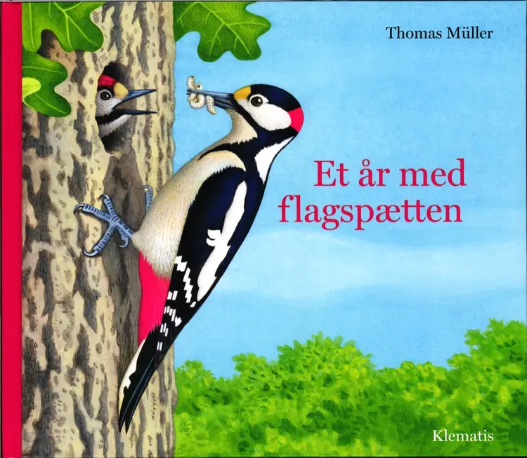 Et år med flagspætten af Thomas Müller