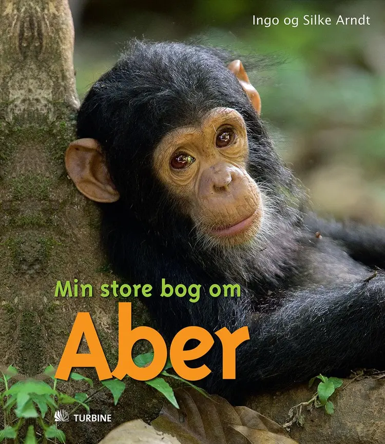 Min store bog om aber af Silke Arndt