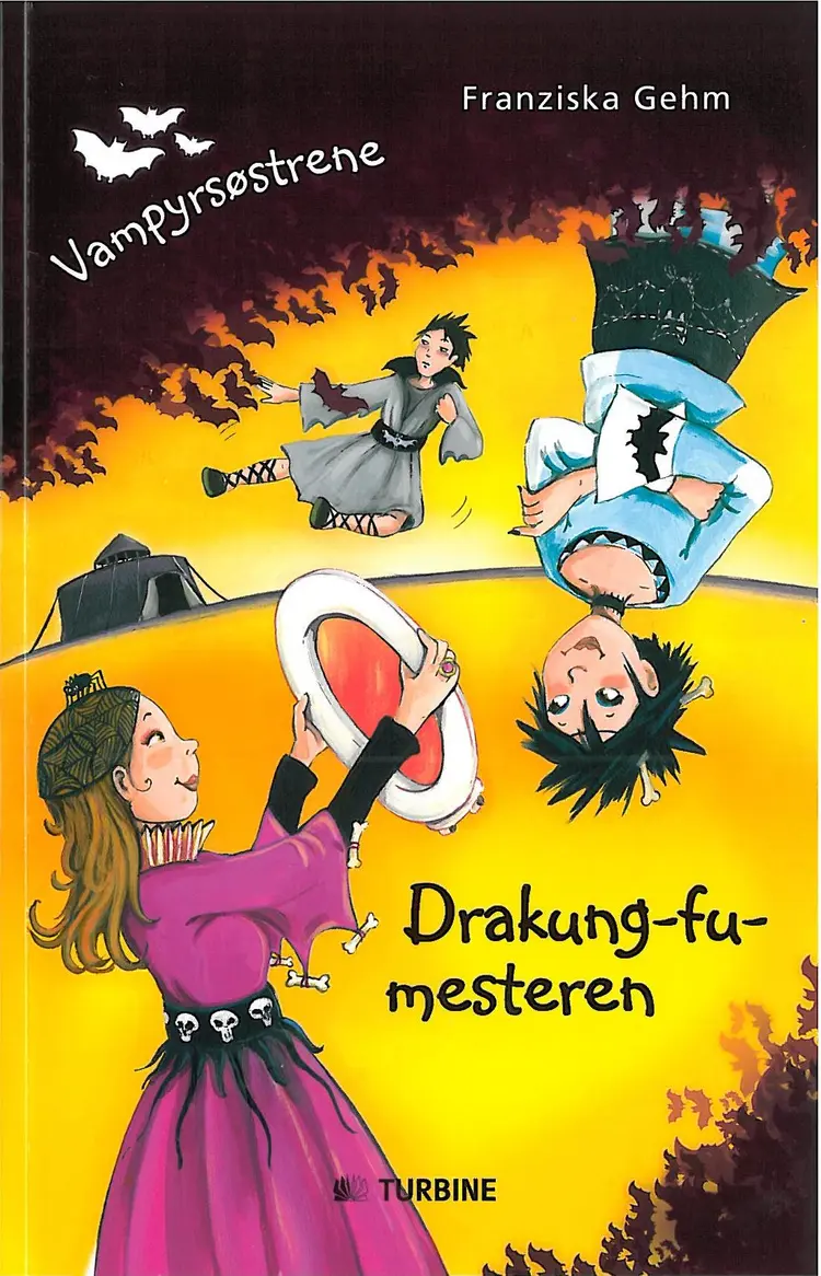 Drakung-fu-mesteren af Franziska Gehm