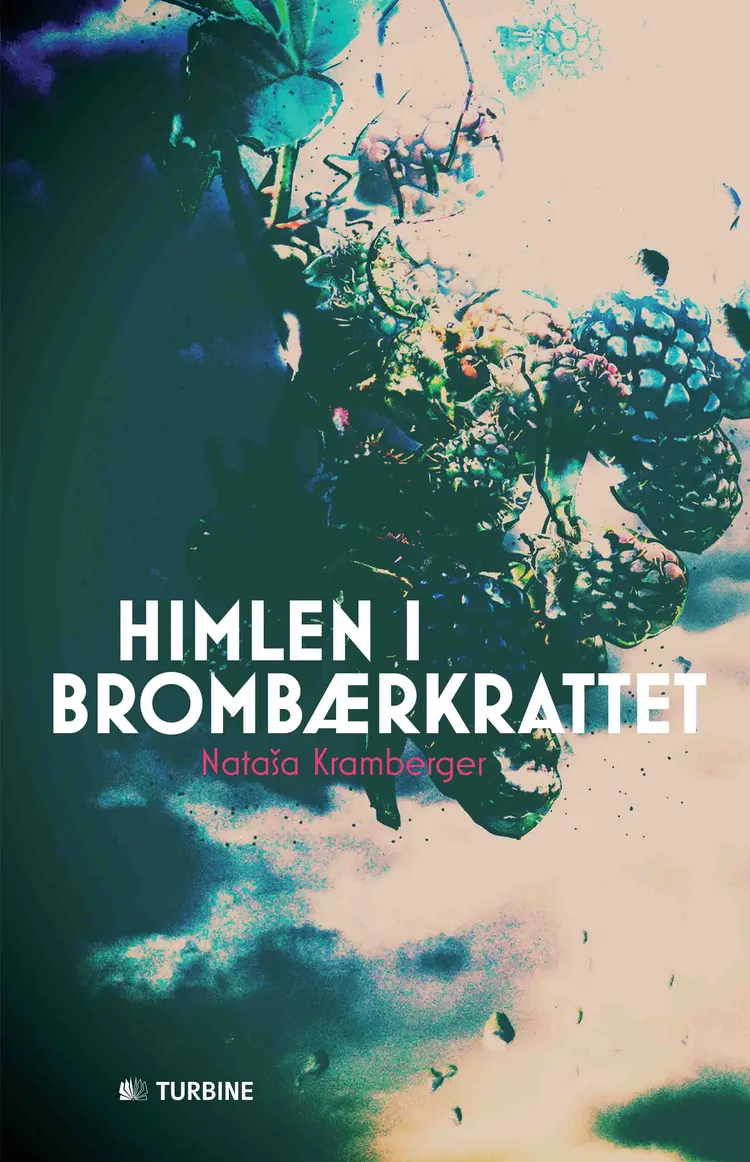 Himlen i brombærkrattet af Natasa Kramberger