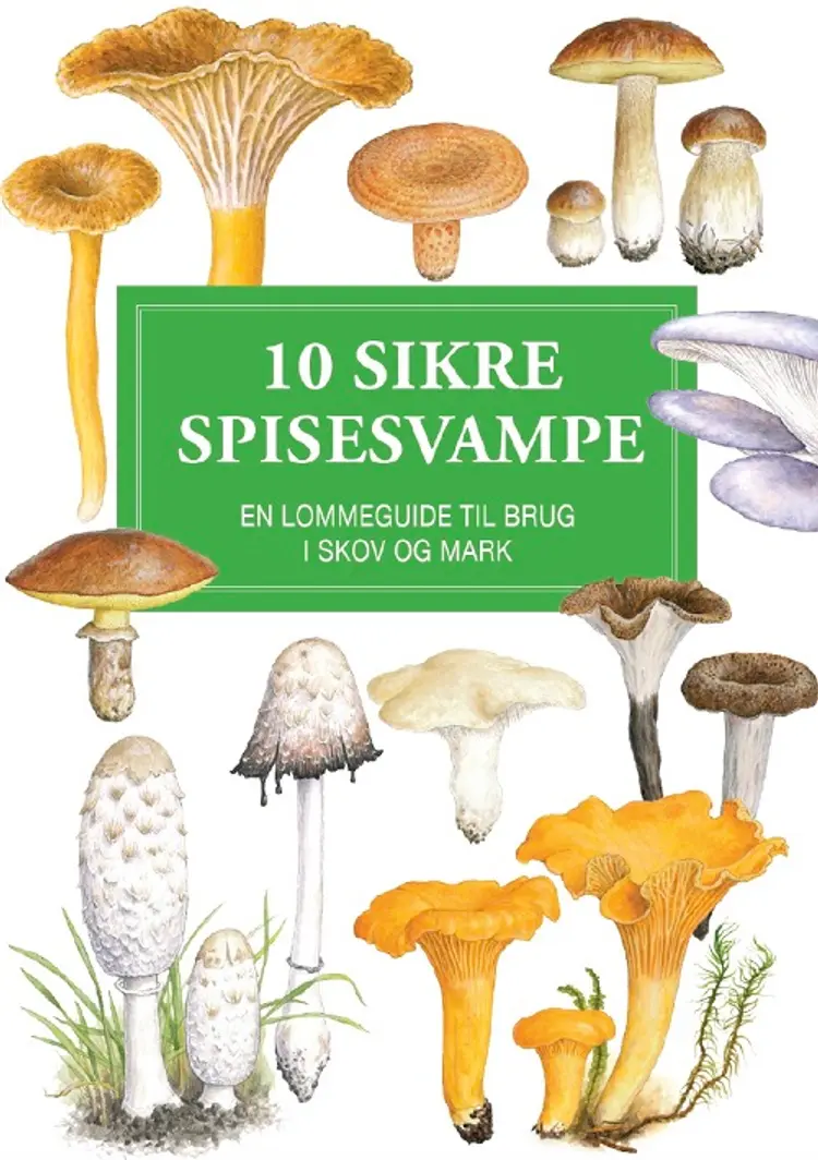 10 sikre spisesvampe af Thomas Læssøe