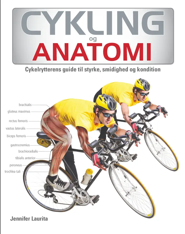 Cykling og anatomi af Jennifer Laurita