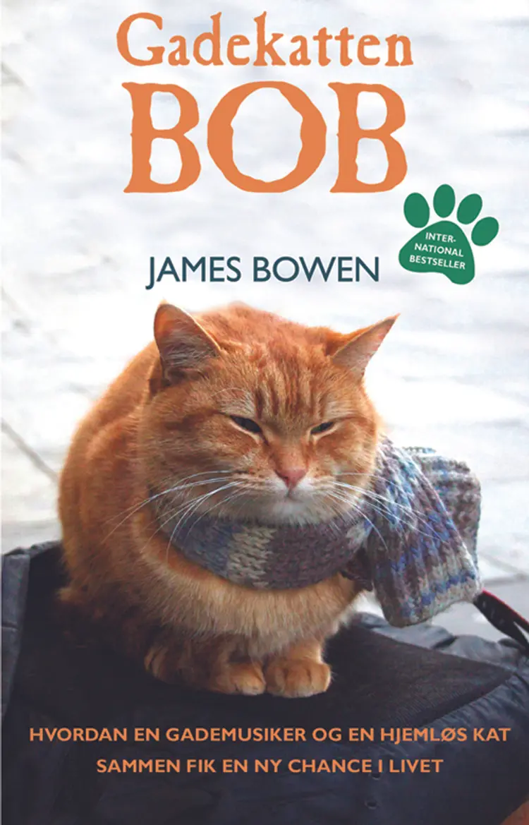 Gadekatten Bob af James Bowen