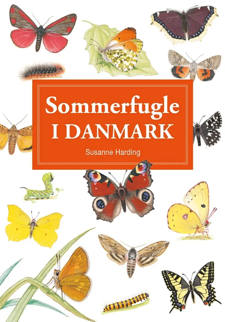 Sommerfugle i Danmark - display med 10 stk af Susanne Harding