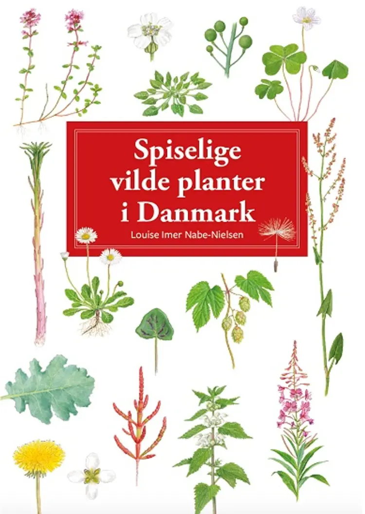 Spiselige vilde planter i Danmark - display med 10 stk af Hermod Karlsen