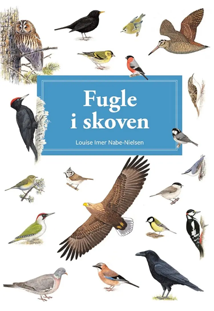 Fugle i skoven af Hermod Karlsen