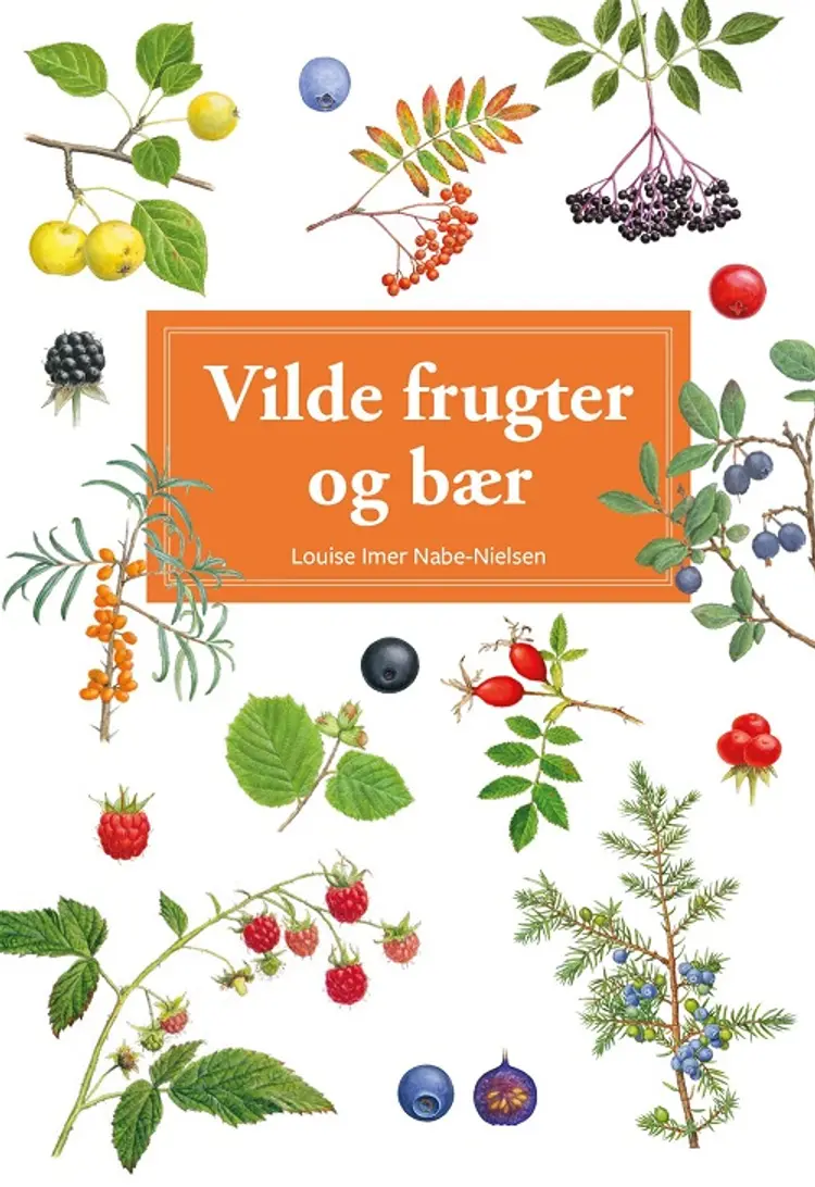 Vilde frugter og bær af Hermod Karlsen
