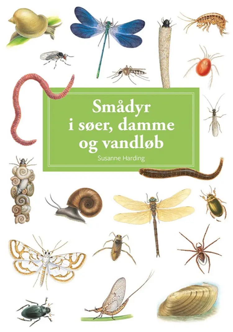 Smådyr i søer, damme og vandløb, display med 10 stk. af Susanne Harding