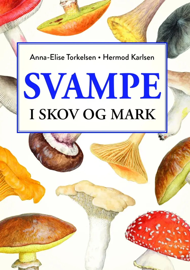 Svampe i skov og mark af Hermod Karlsen