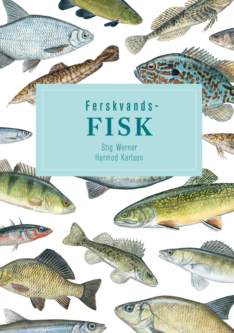 Ferskvandsfisk af Hermod Karlsen