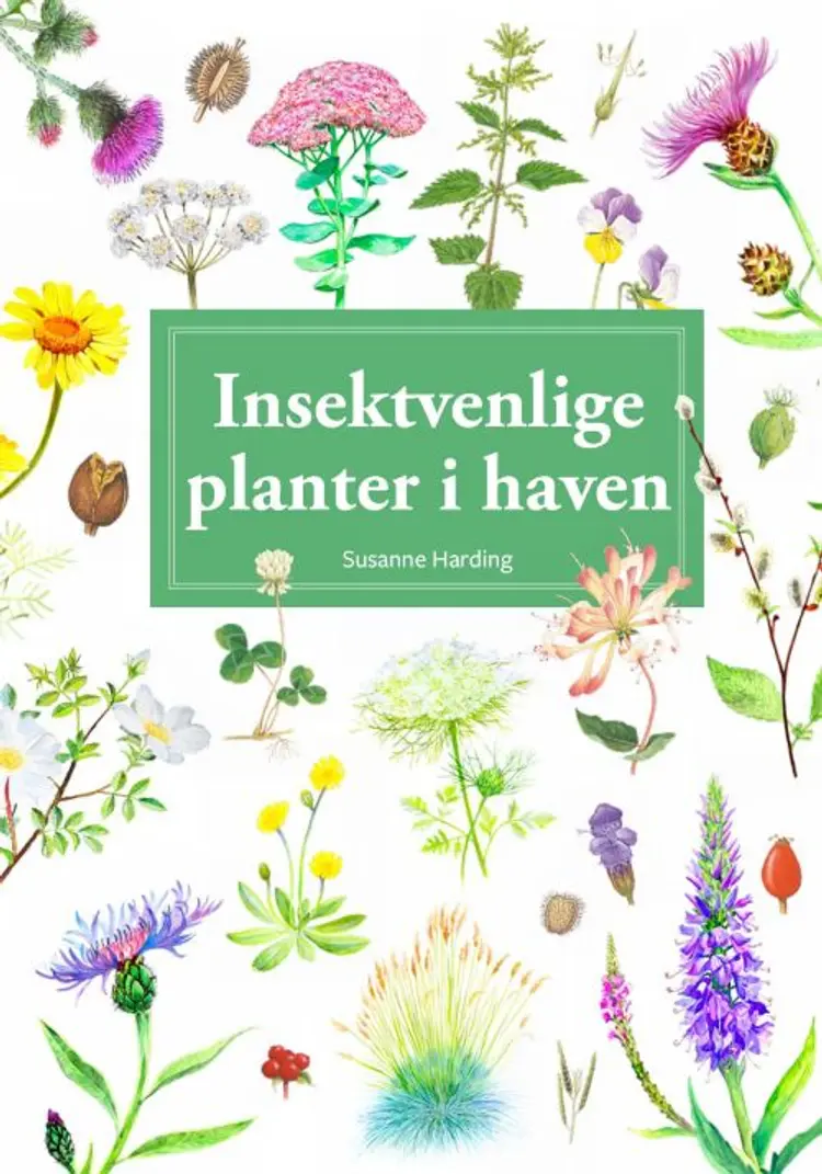 Insektvenlige planter i haven, display med 10 stk. af Susanne Harding