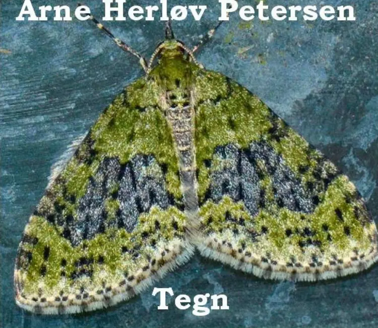 Tegn af Arne Herløv Petersen